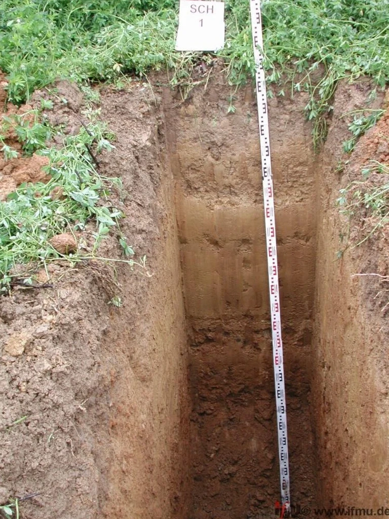 Exploratory Test Pit Services in Halifax: Direct Soil Inspection